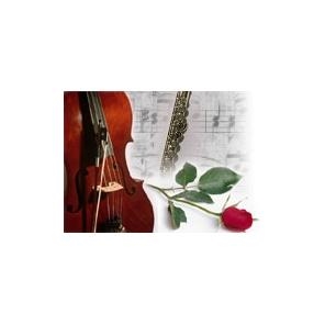 Houston Wedding Bands, Houston Live Music, Houston Wedding DJ , Chamber Music Unlimited 